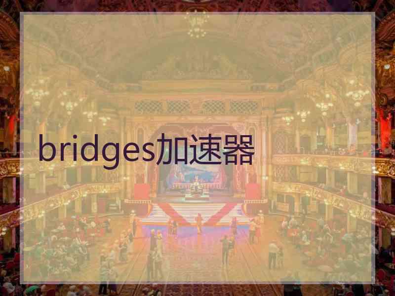 bridges加速器