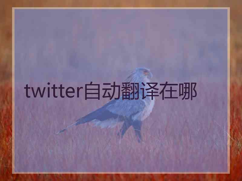 twitter自动翻译在哪