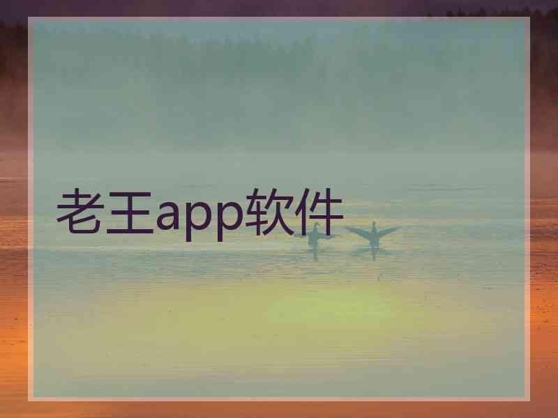 老王app软件