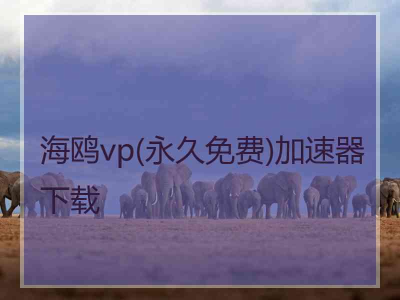 海鸥vp(永久免费)加速器下载