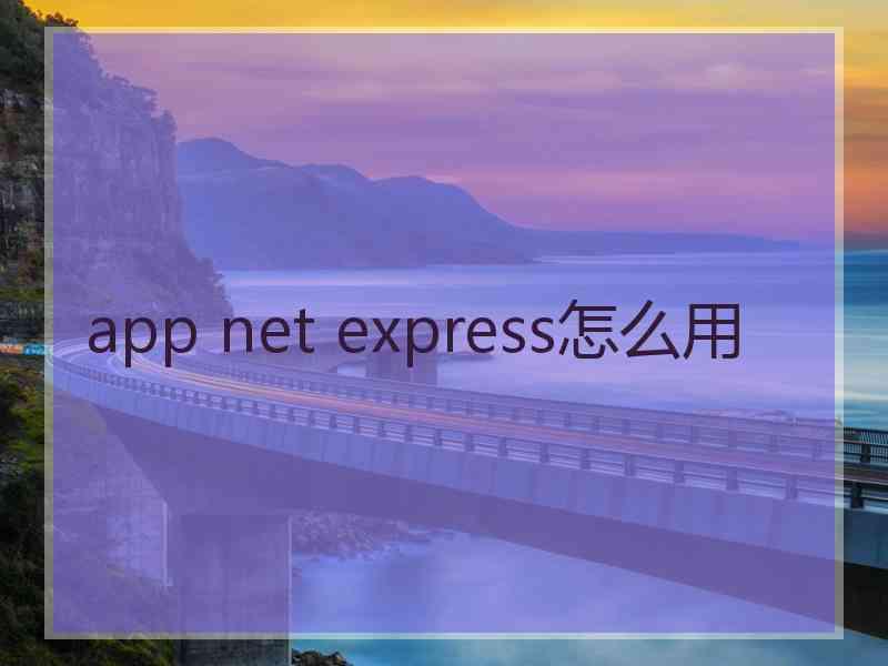 app net express怎么用