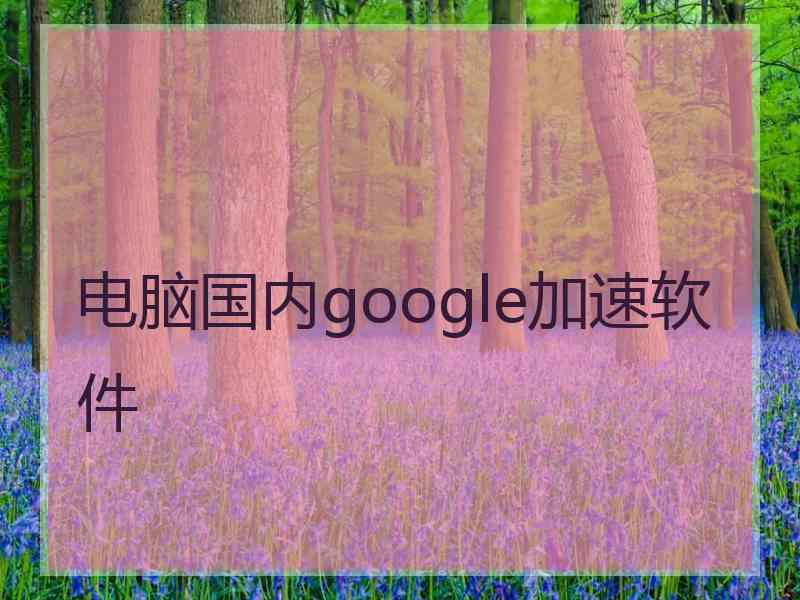 电脑国内google加速软件