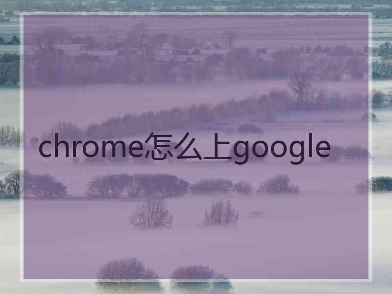 chrome怎么上google