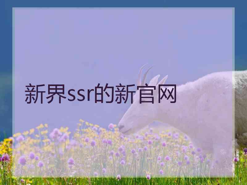 新界ssr的新官网