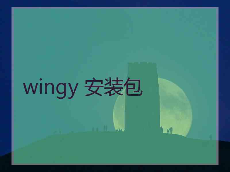 wingy 安装包