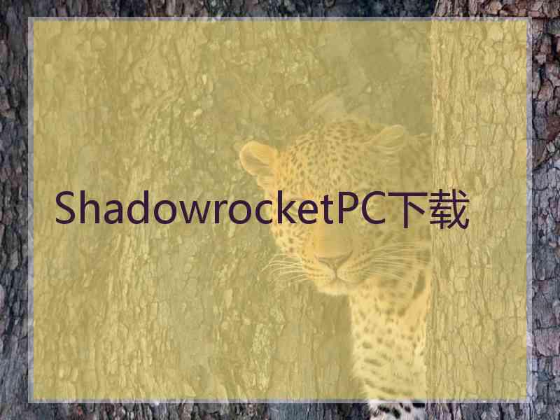 ShadowrocketPC下载