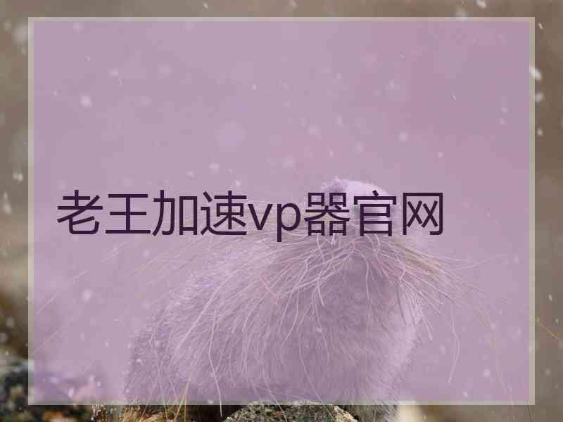 老王加速vp器官网