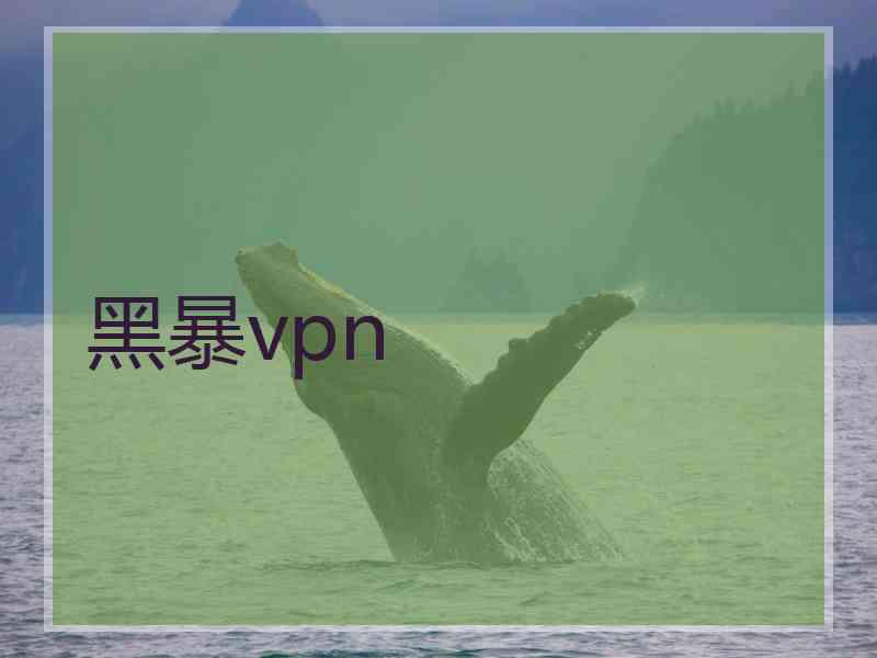 黑暴vpn