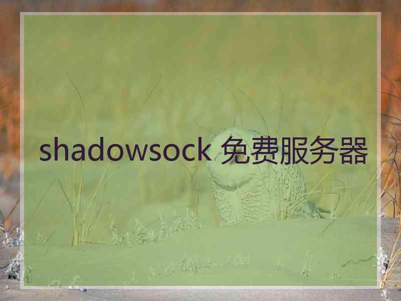 shadowsock 免费服务器