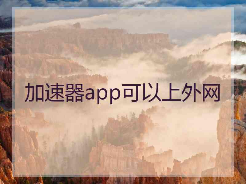 加速器app可以上外网