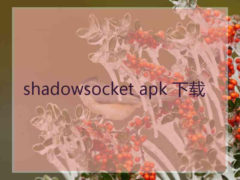 shadowsocket apk 下载