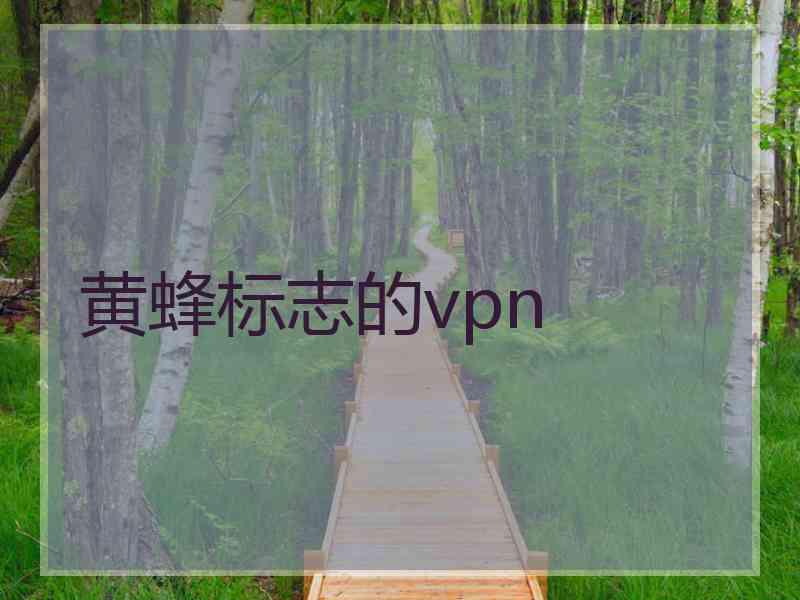 黄蜂标志的vpn