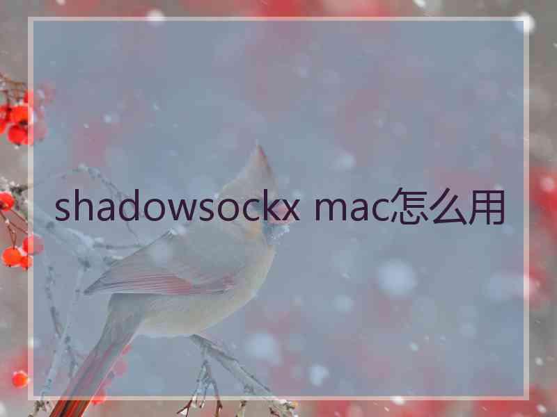 shadowsockx mac怎么用