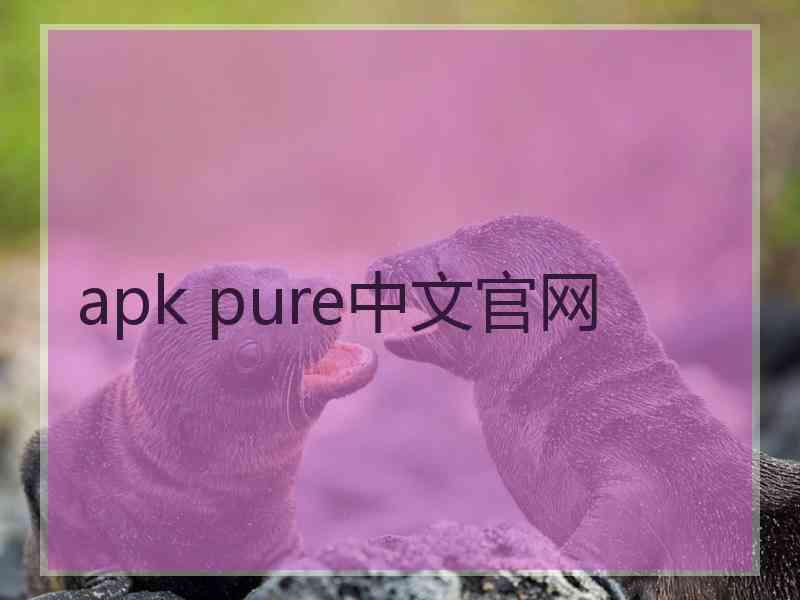 apk pure中文官网