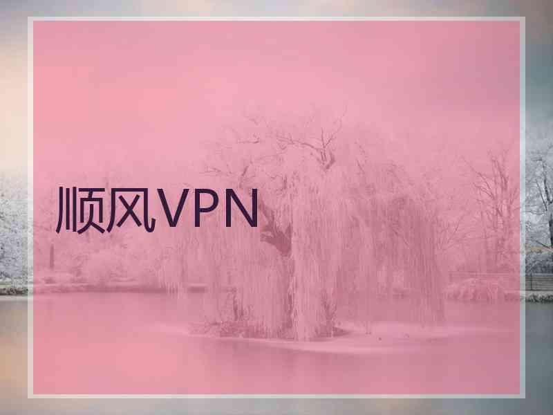 顺风VPN