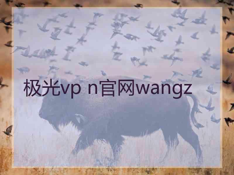 极光vp n官网wangz