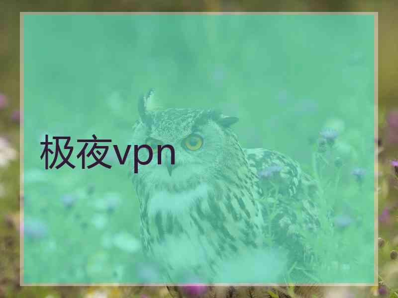 极夜vpn