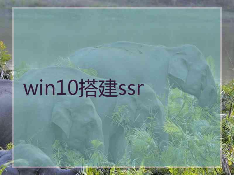 win10搭建ssr