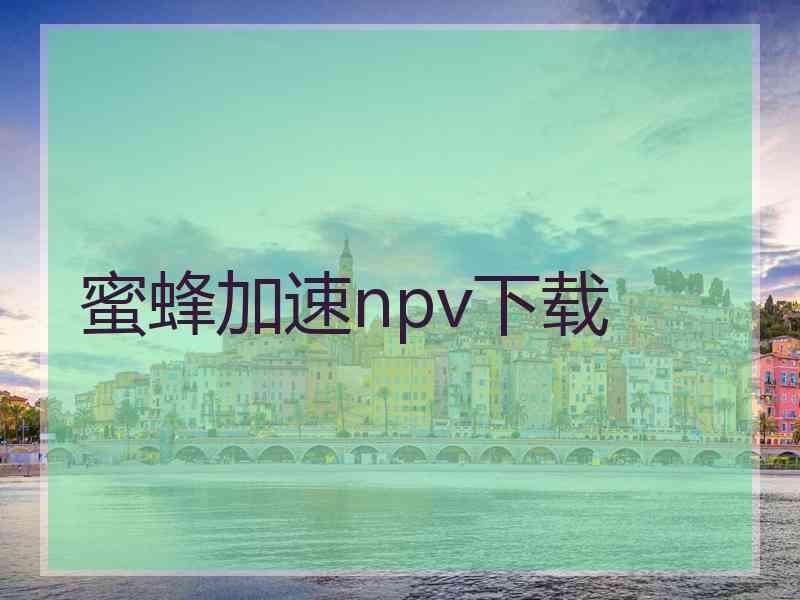 蜜蜂加速npv下载