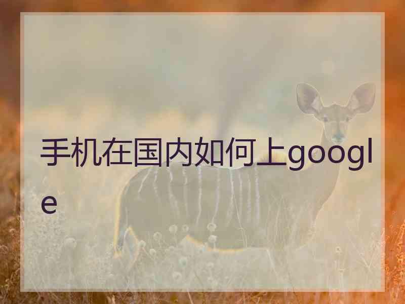 手机在国内如何上google