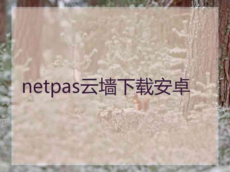 netpas云墙下载安卓