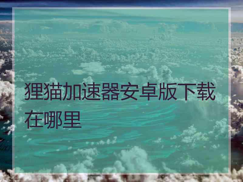 狸猫加速器安卓版下载在哪里