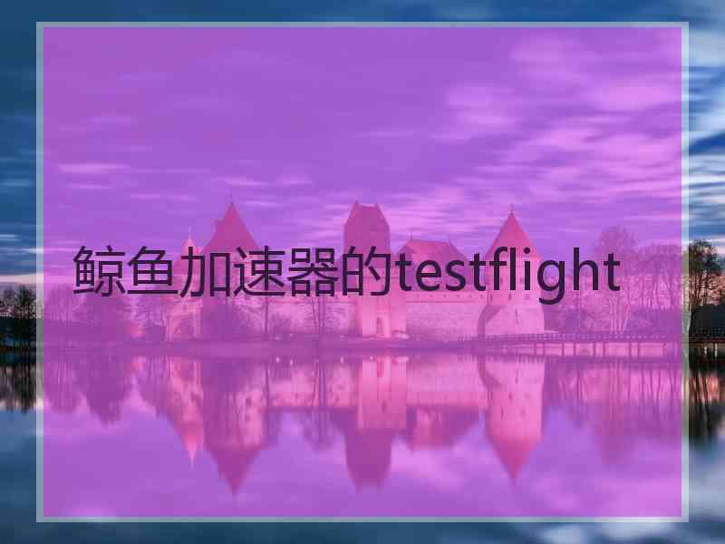 鲸鱼加速器的testflight