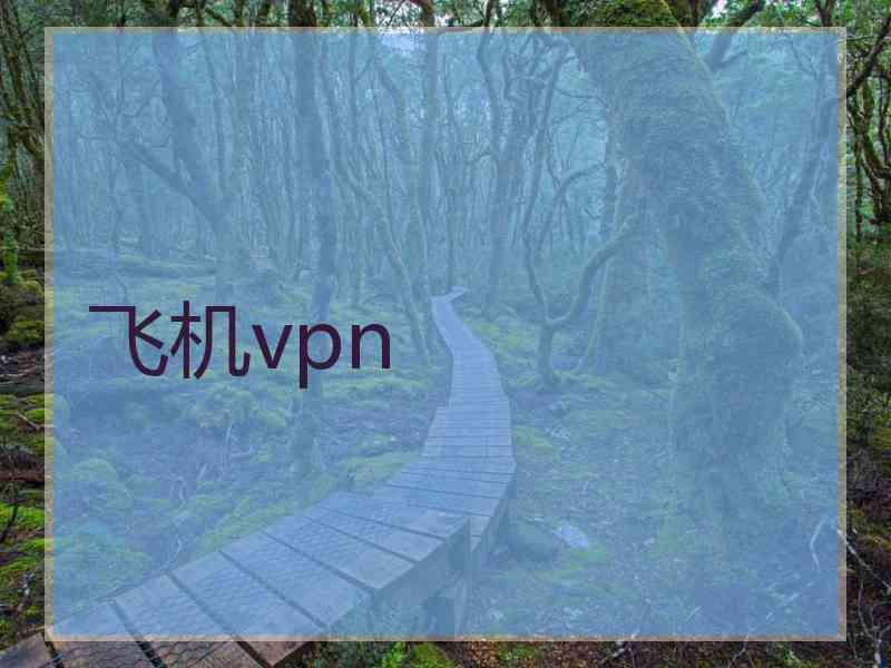 飞机vpn