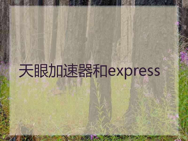 天眼加速器和express