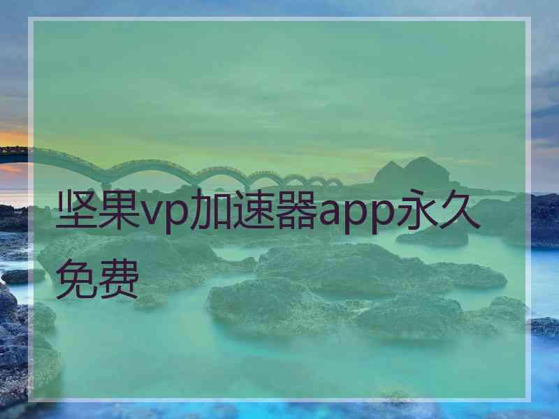 坚果vp加速器app永久免费