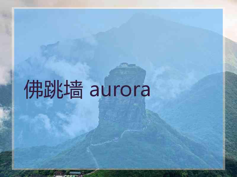 佛跳墙 aurora