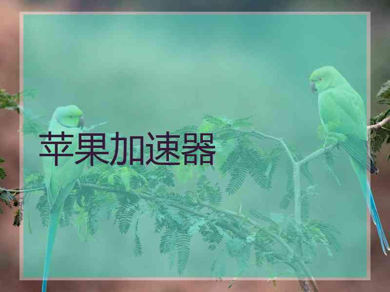 苹果加速器