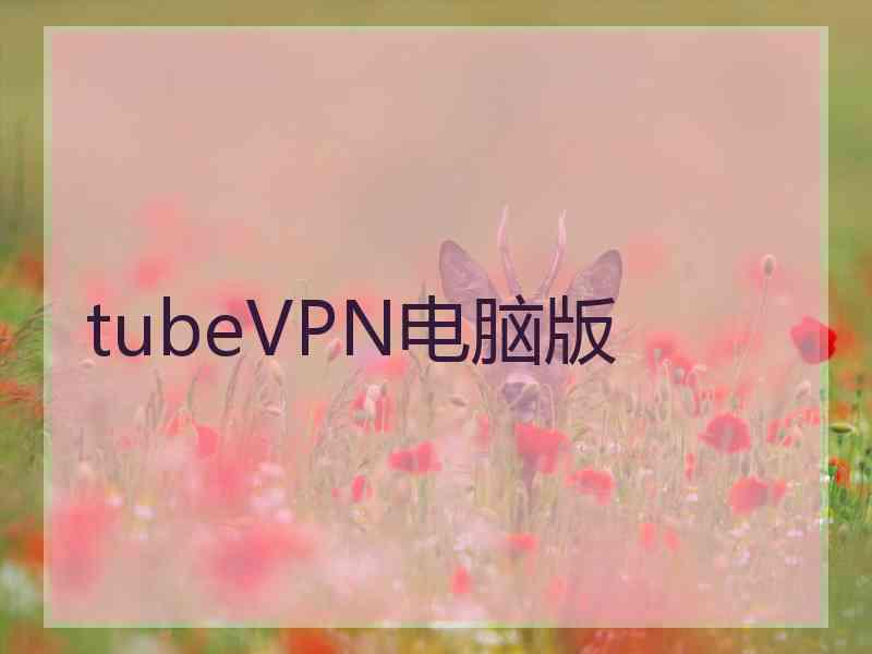 tubeVPN电脑版