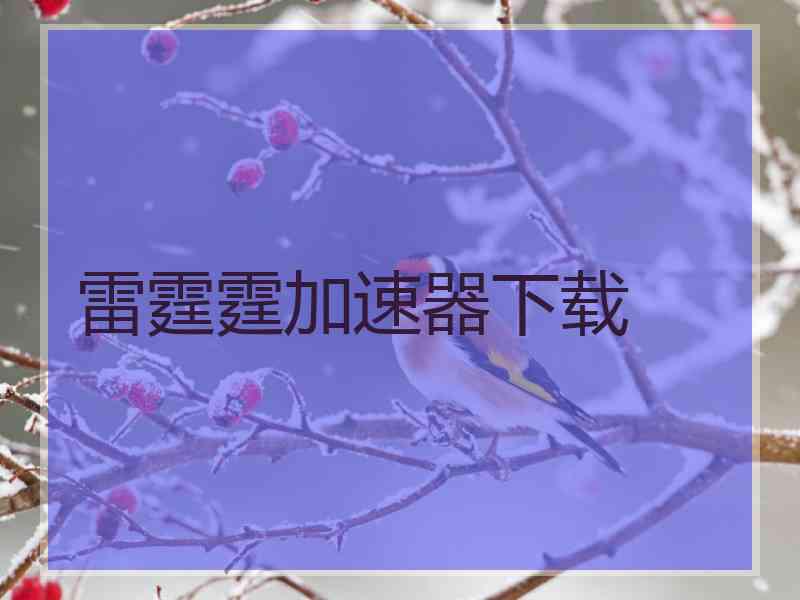 雷霆霆加速器下载