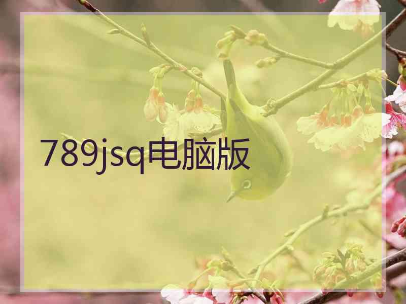 789jsq电脑版