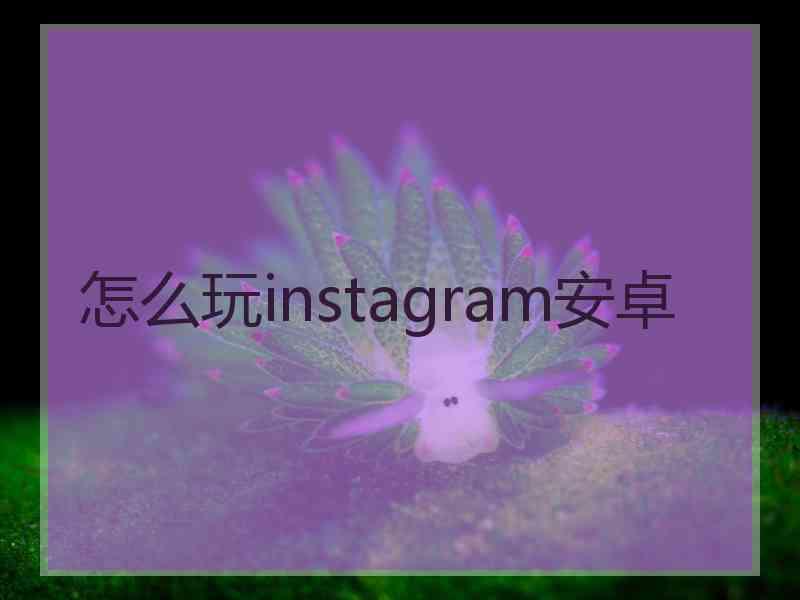 怎么玩instagram安卓