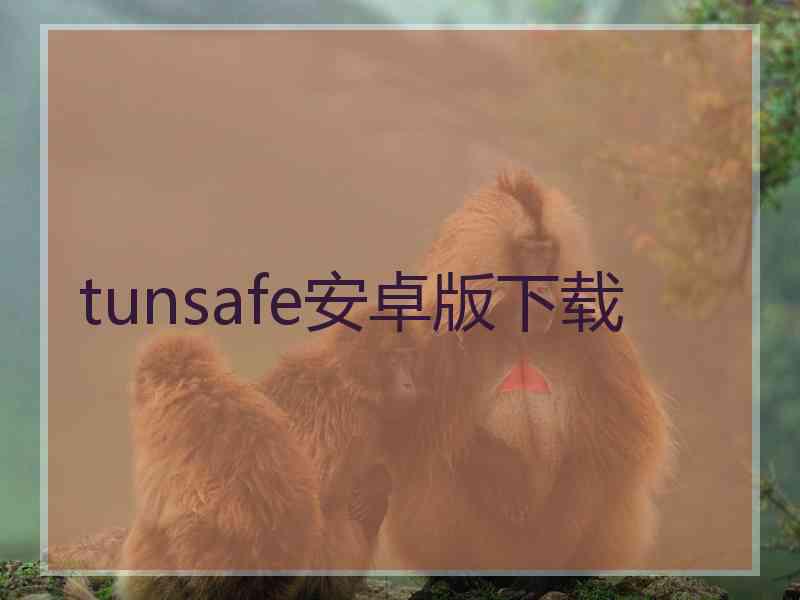 tunsafe安卓版下载