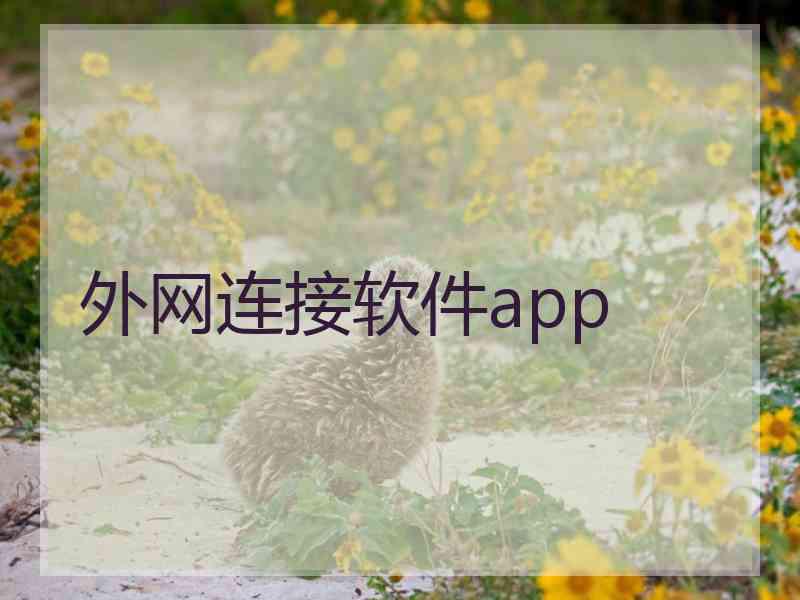 外网连接软件app