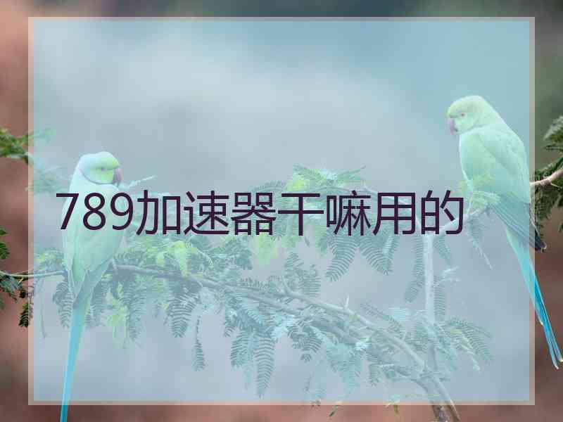 789加速器干嘛用的