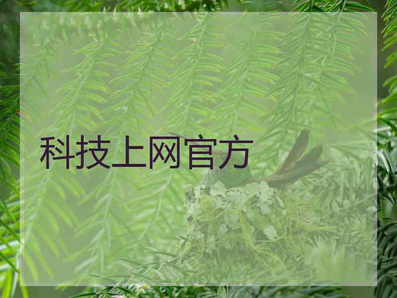 科技上网官方