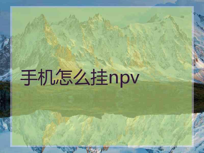 手机怎么挂npv