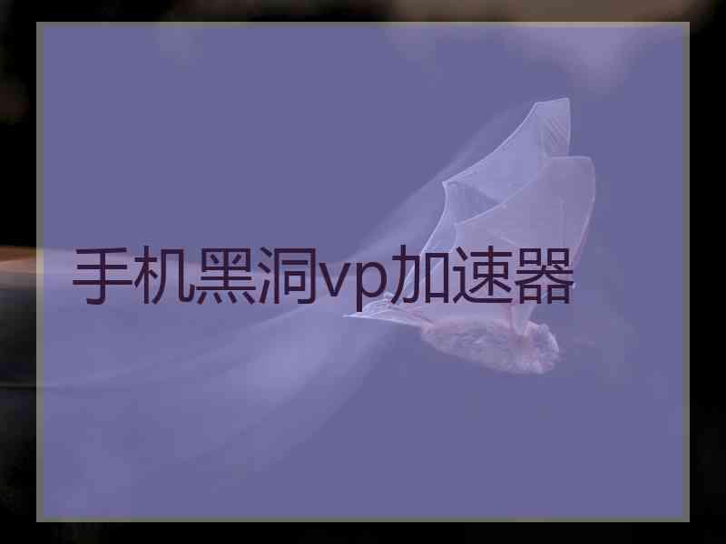 手机黑洞vp加速器