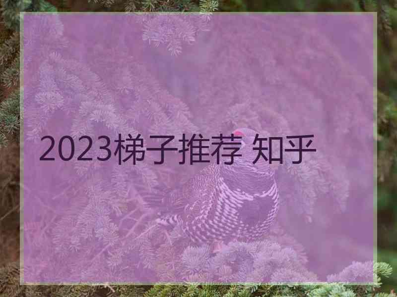 2023梯子推荐 知乎