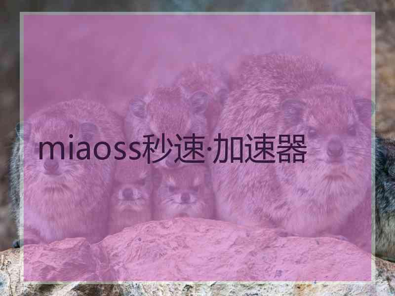 miaoss秒速·加速器