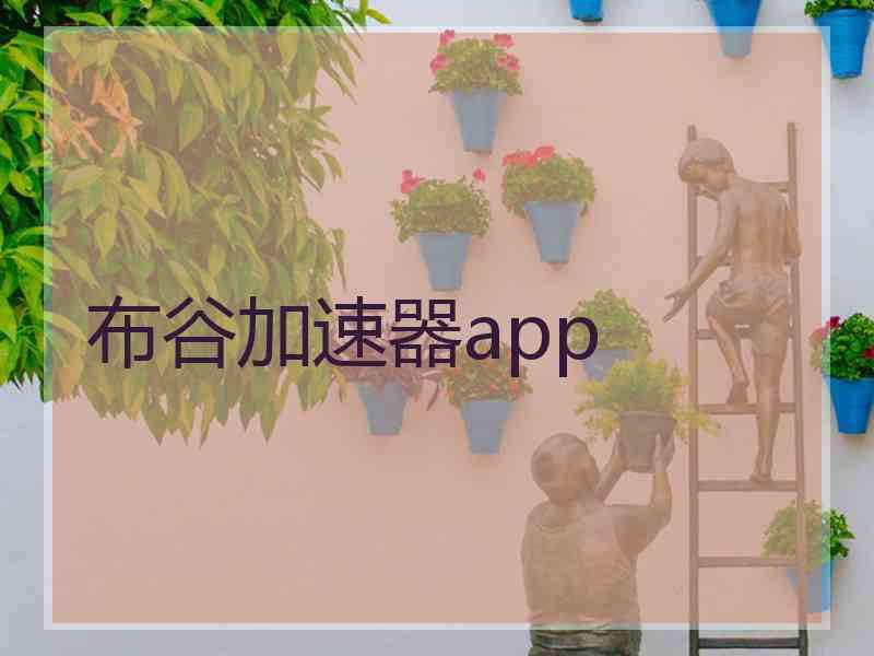 布谷加速器app