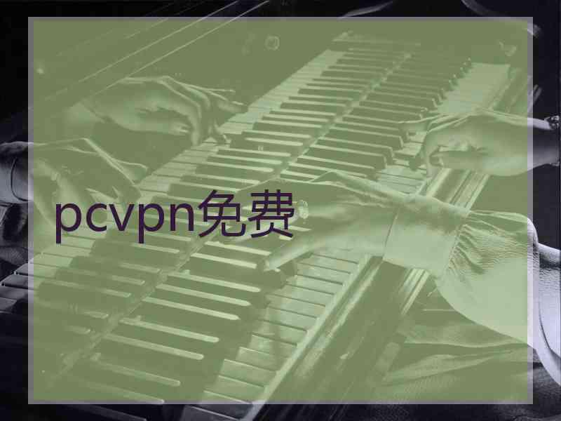 pcvpn免费