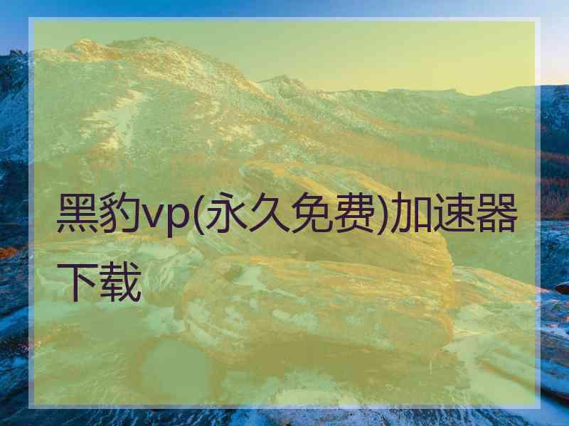 黑豹vp(永久免费)加速器下载