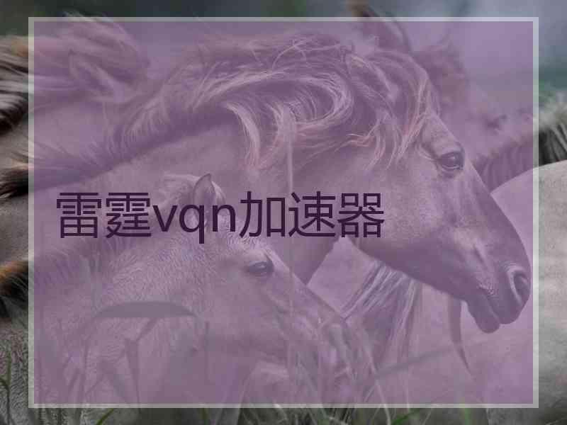 雷霆vqn加速器