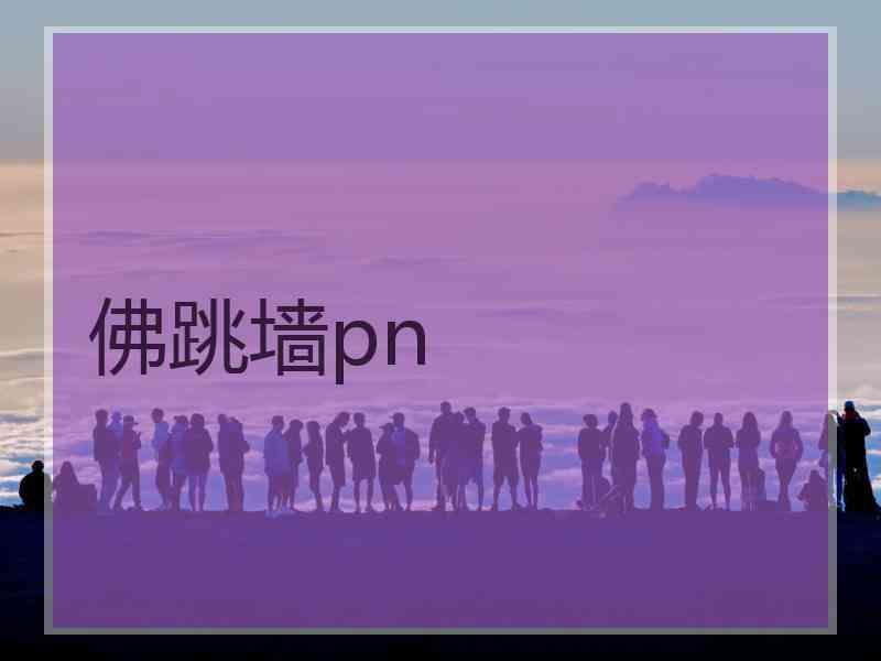 佛跳墙pn