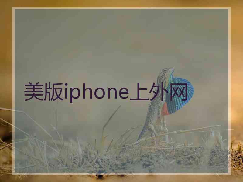 美版iphone上外网